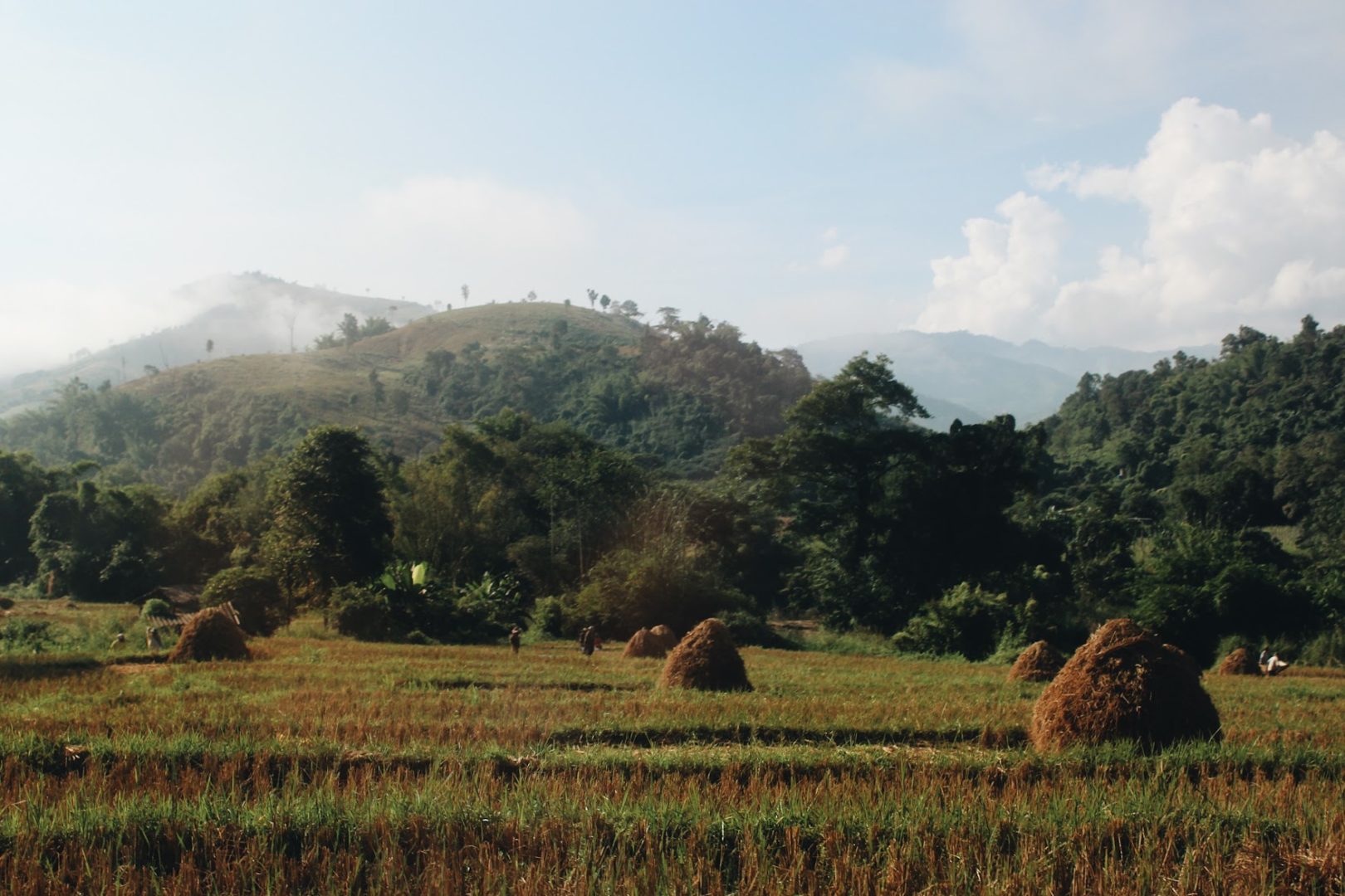 The farm fields of Northern Thailand 