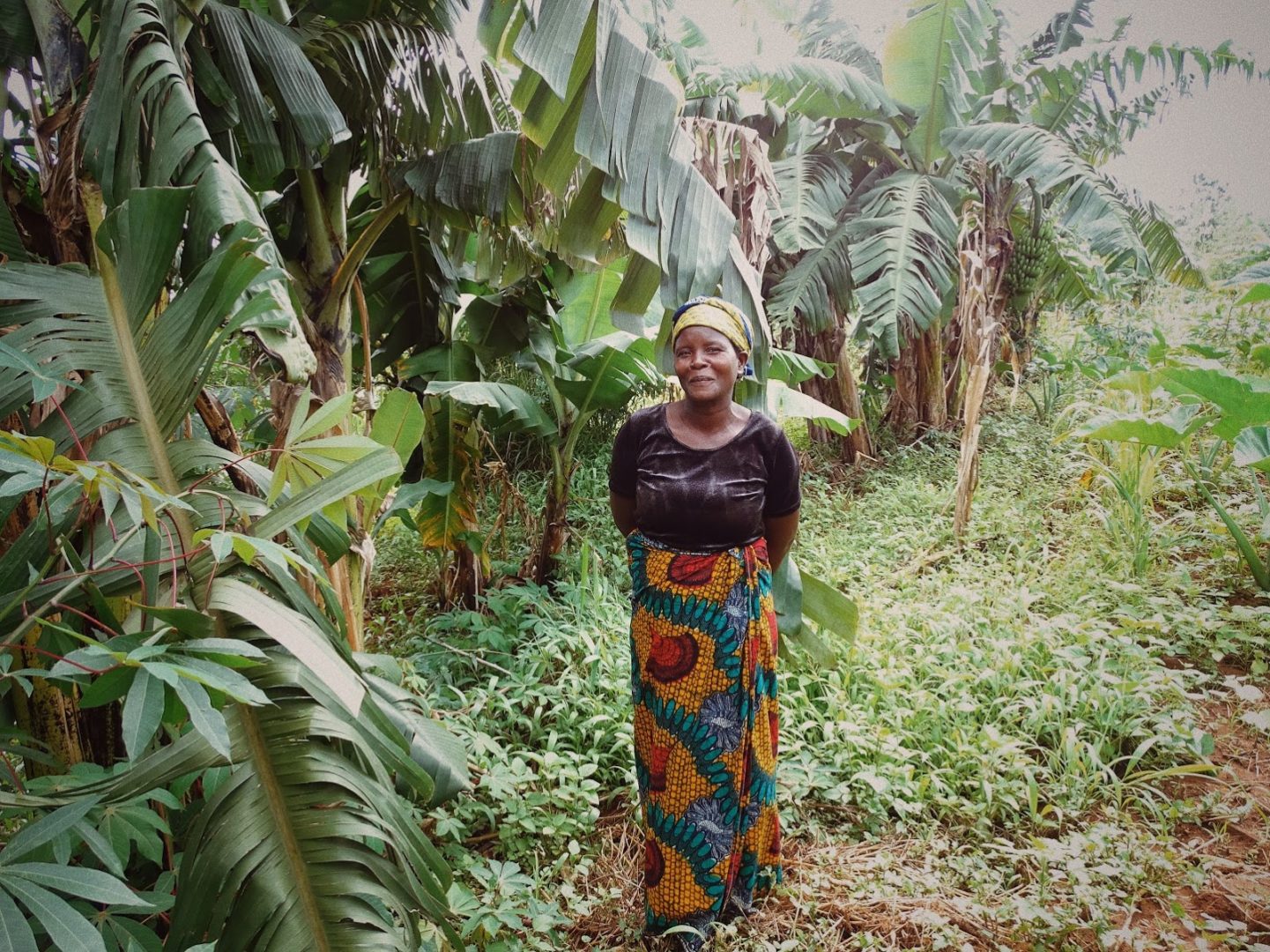  climate change and Larissa in Nyakazu