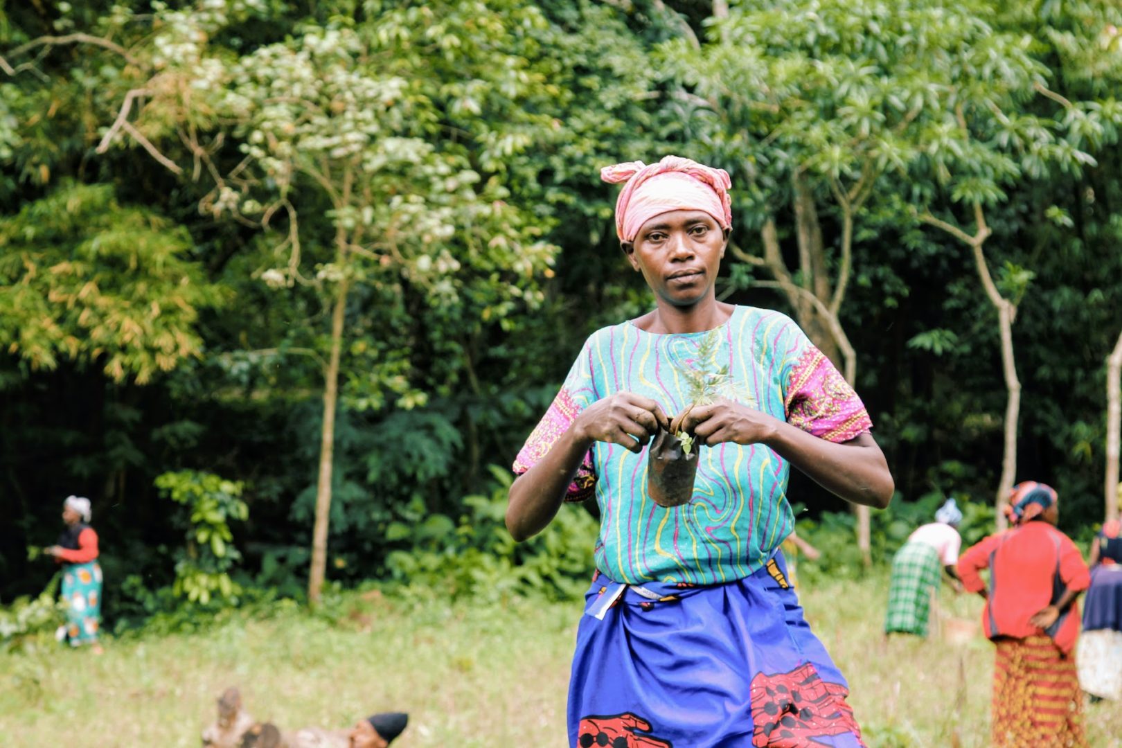 tree planting photo in Tanzania