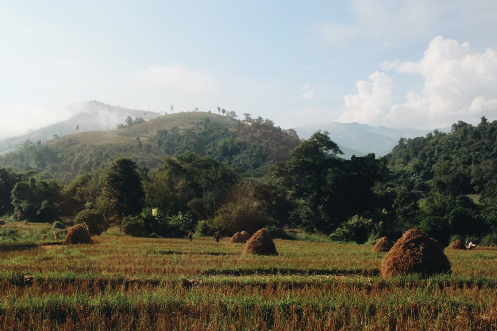 Farming in Thailand.