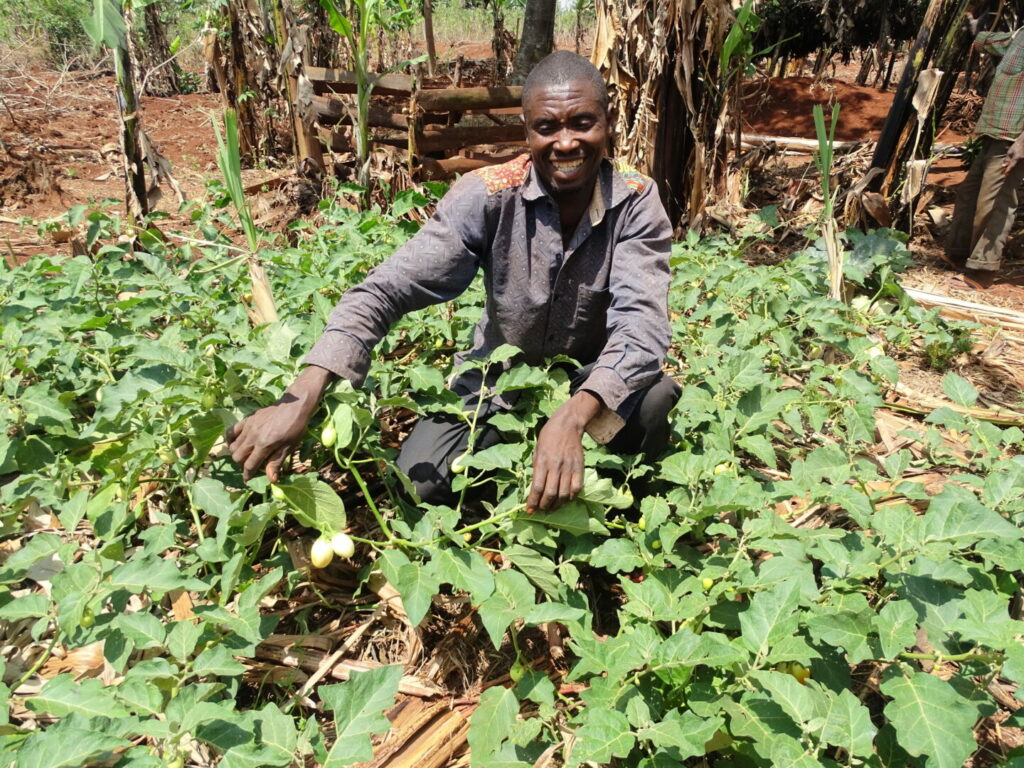 gaining agricultural skills