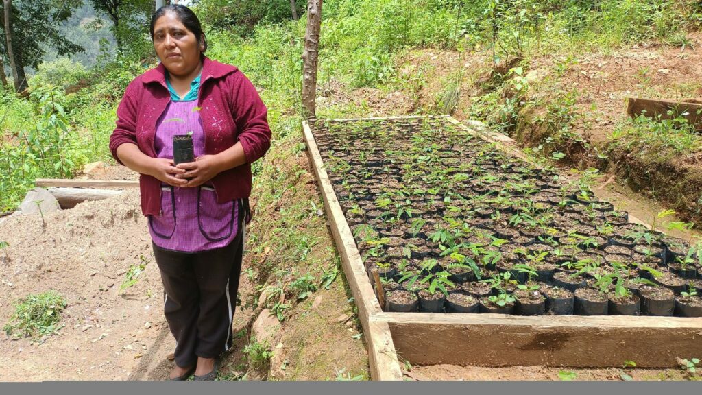 women in mexico