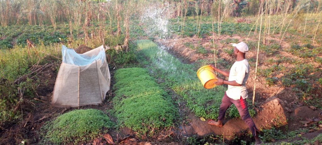 farmer in Burundi