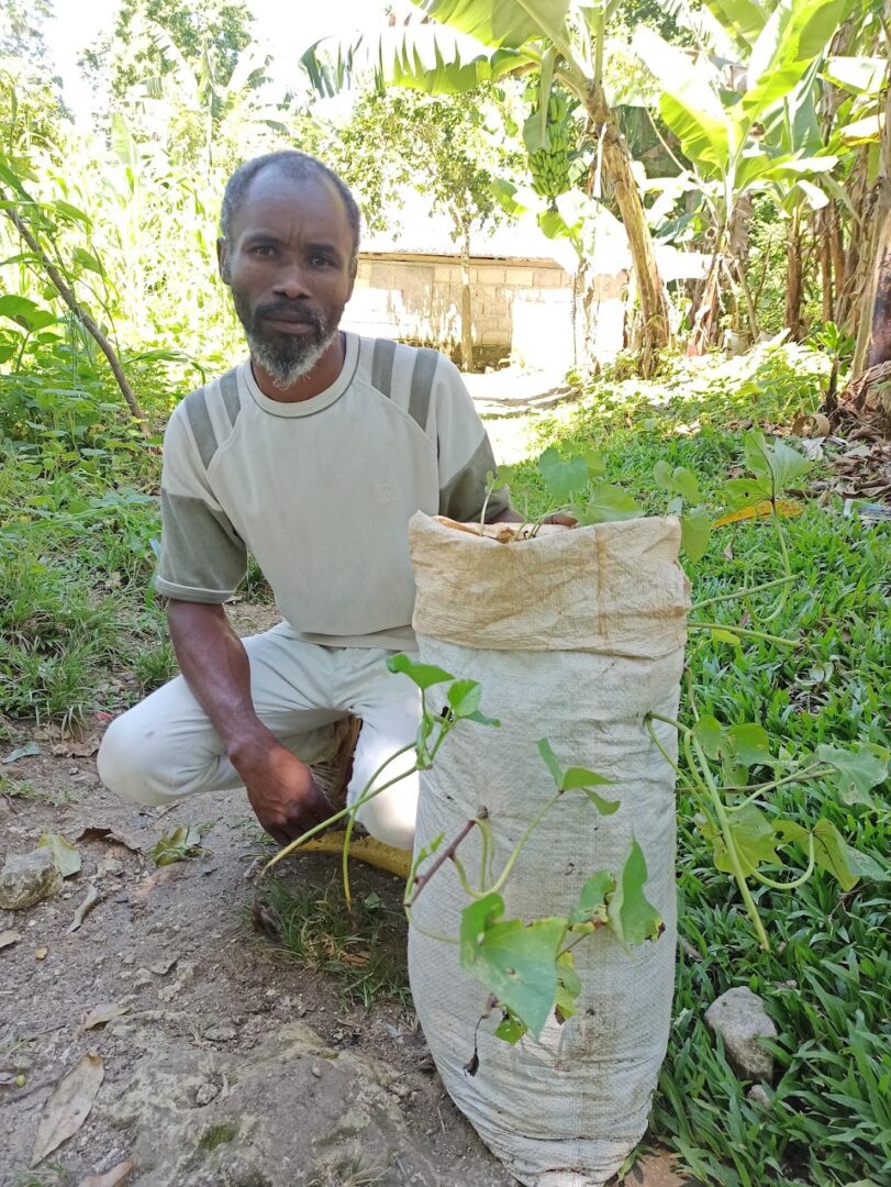 Sustainable Agriculture in Haiti Creates Hope | Plant With Purpose