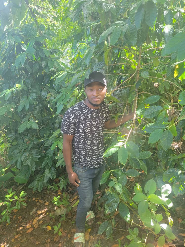 regenerative farming includes tree planting