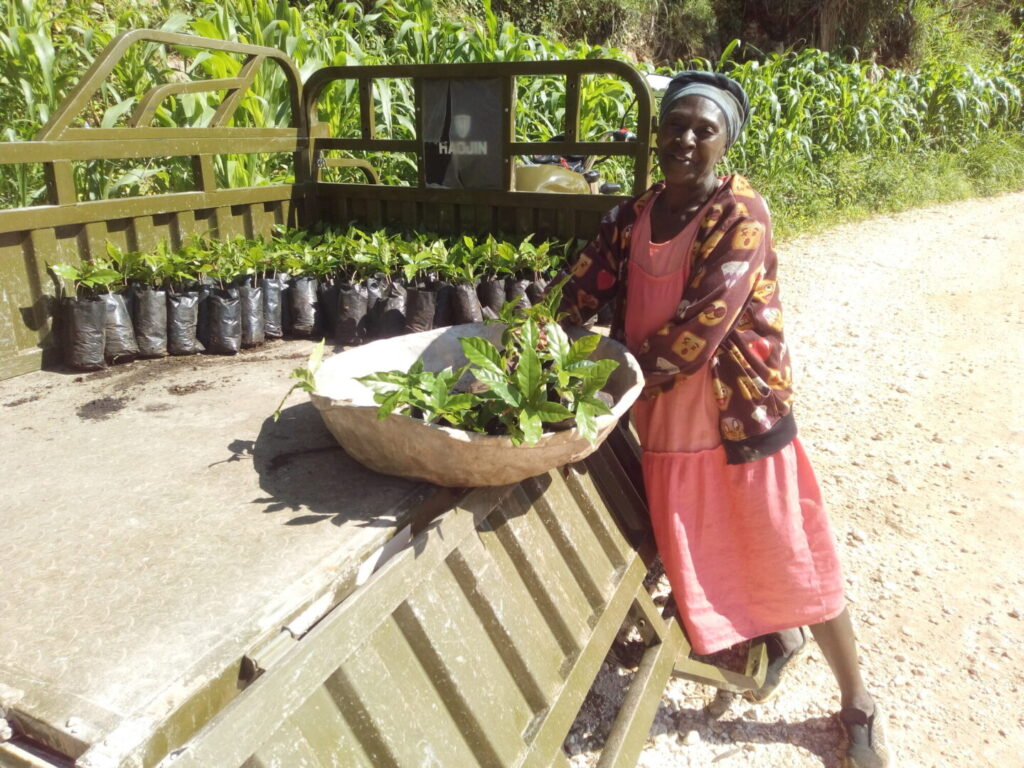 reducing poverty through agroforestry techniques