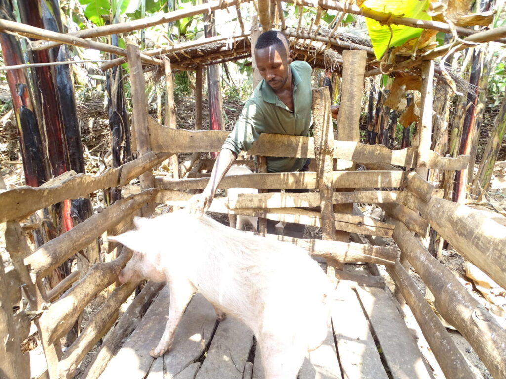 Vyizigiro and his pig in a pen