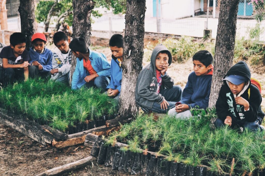 tending to seedlings is an important job