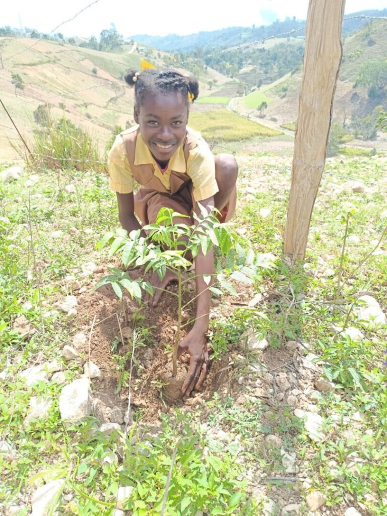 planting one tree at a time changes everything