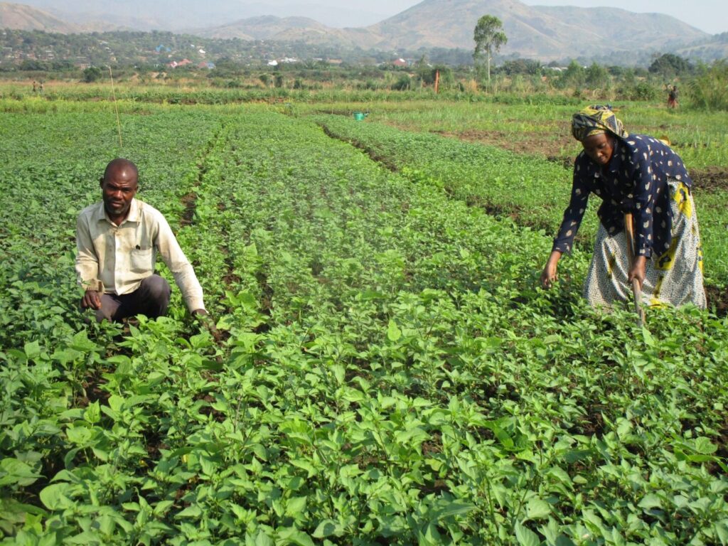 conservation creates lasting bounty for communities